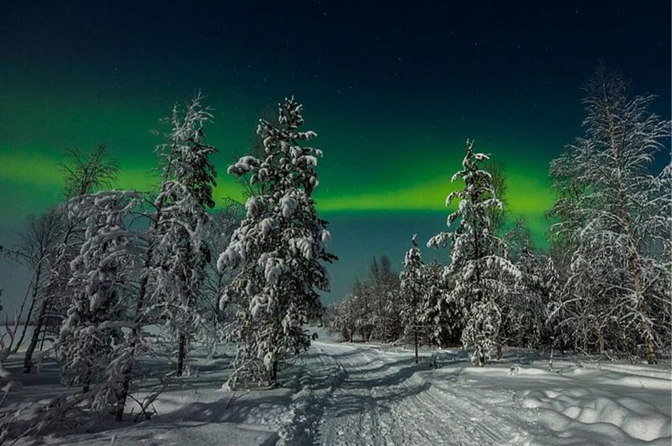1 rovaniemi northern lights and husky sleigh ride Rovaniemi: Northern Lights and Husky Sleigh Ride