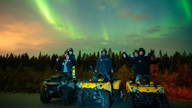 Rovaniemi: Northern Lights Quad Bike Tour