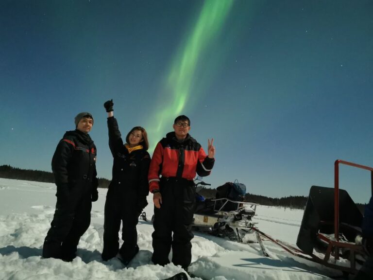 Rovaniemi: Northern Lights Sledge Ride