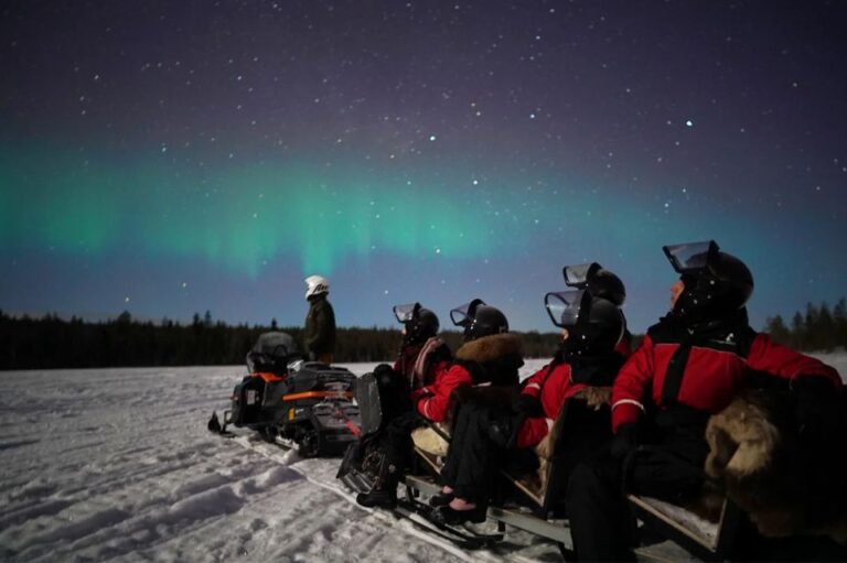 Rovaniemi: Northern Lights Sleigh Ride