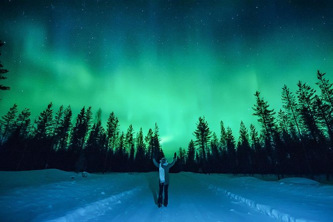Rovaniemi Northern Lights Wilderness Guided Small-Group Tour (Mar )