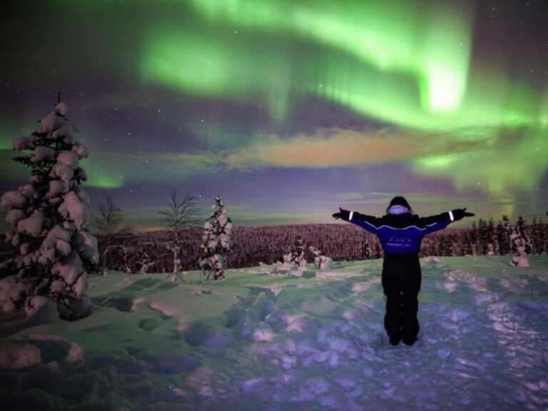 Rovaniemi: Northern Lights Wilderness Tour With Camera