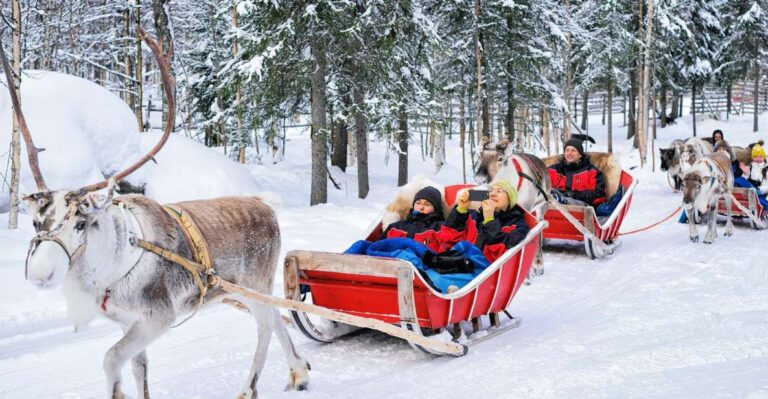 Rovaniemi: Reindeer Sleigh Ride With Hot Drink and Cookies