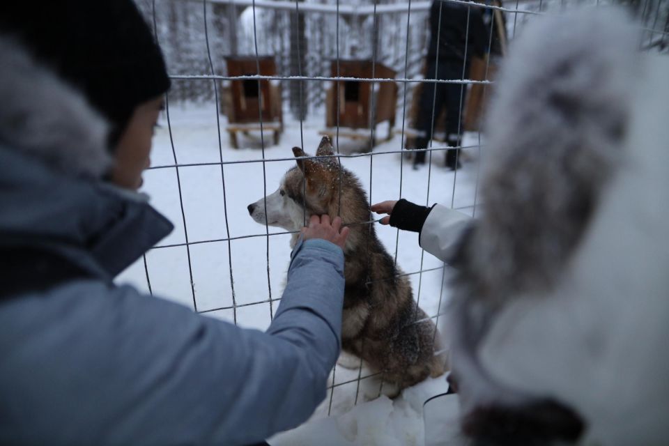 Rovaniemi: Santa Claus Village Tour Huskies & Reindeer Visit - Experience Highlights at Santa Claus Village