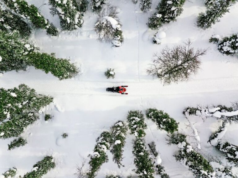 Rovaniemi: Snowmobile Safari Adventure