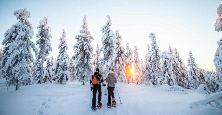 Rovaniemi: Snowshoe Wilderness Adventure
