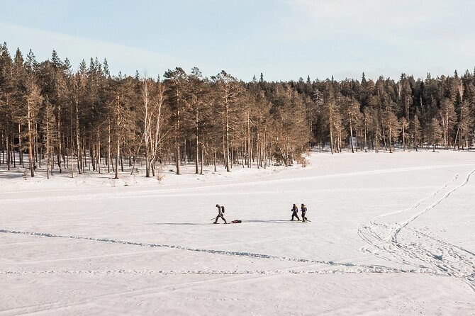 Rovaniemi Snowshoeing Excursion (Mar )