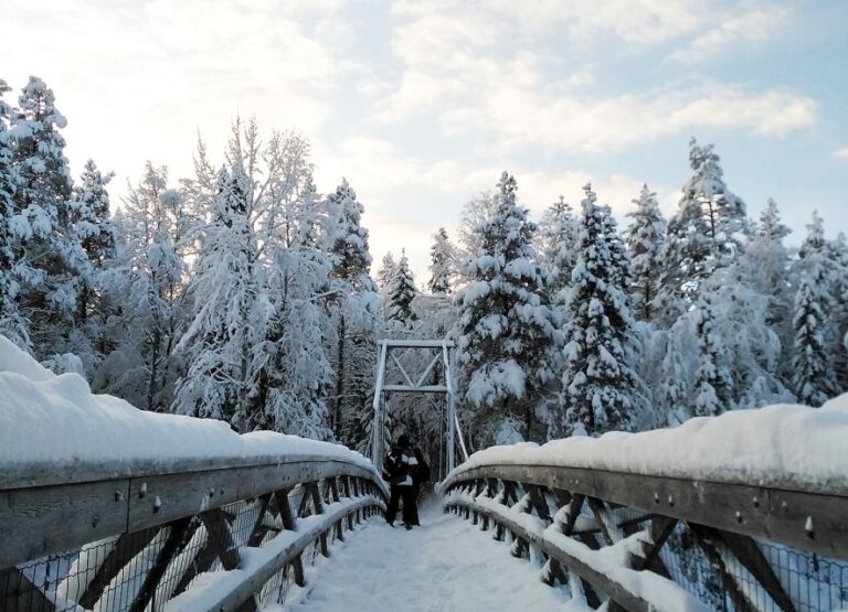 Rovaniemi: Vaattunki Hiking Arctic Circle Trail