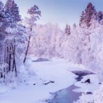 1 rovaniemi winter snowshoeing reindeer husky sleigh ride Rovaniemi: Winter Snowshoeing, Reindeer & Husky Sleigh Ride