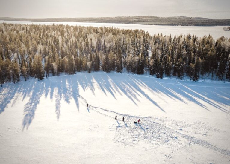 Rovaniemi: Winter Wilderness Snowshoeing Trip