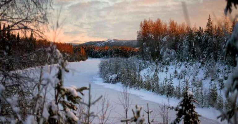 Rovaniemi: Winter Wonderland Vikaköngäs Hike & Barbeque