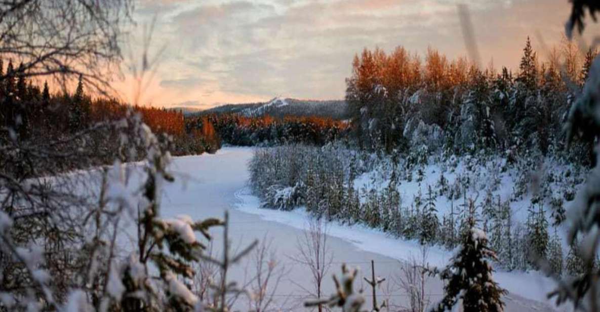 1 rovaniemi winter wonderland vikakongas hike barbeque Rovaniemi: Winter Wonderland Vikaköngäs Hike & Barbeque