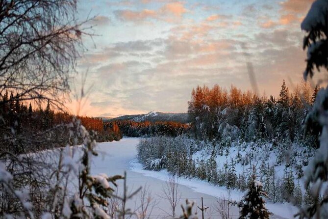 Rovaniemi: Winter Wonderland Vikaköngäs Hiking Tour & BBQ