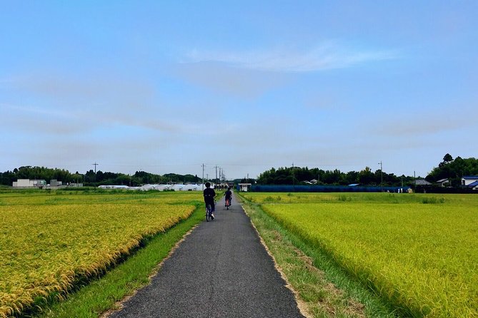 1 rural japan cycling tour to the rich nature area in ichinomiya Rural Japan Cycling Tour to the Rich Nature Area in Ichinomiya