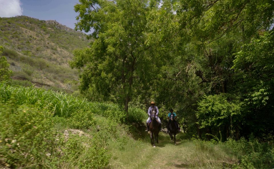 1 rural trail on marwari horseback at private ranch in 12acres Rural Trail On Marwari Horseback At Private Ranch in 12Acres