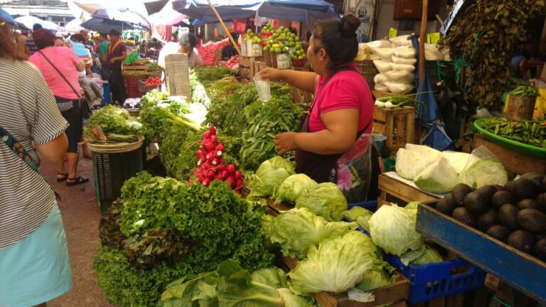 .Rustic Off the Beaten Path Mex Cooking Class & Lagoon Ride