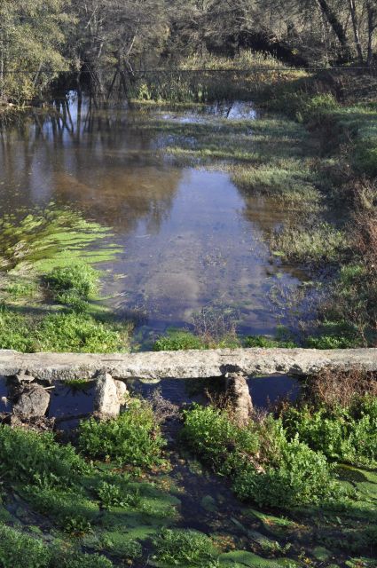 Sabugal: Stories of the Côa and Its Castle, Walking Tour