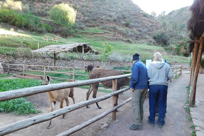 1 sacred valley tour from either urubamba or ollantaytambo Sacred Valley Tour From Either Urubamba or Ollantaytambo