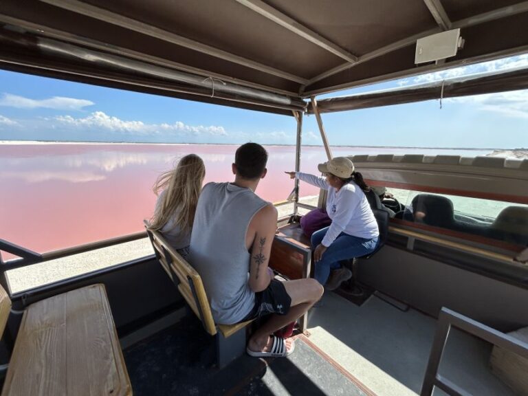 Safari Tour Around the Pink Lakes of Las Coloradas