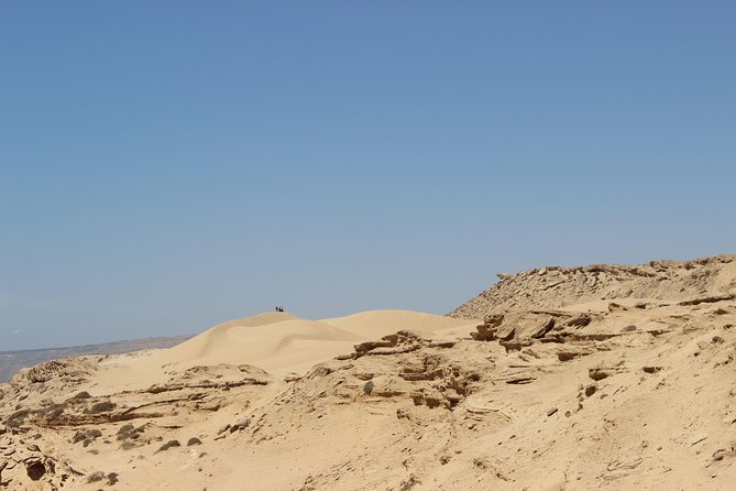 Sahara Tour : Half Day Trip to Sahara (Sand Dunes ) With Lunch