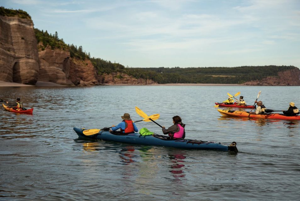 Saint John: Bay of Fundy Guided Kayaking Tour With Snack - Experience Highlights of the Bay of Fundy Tour