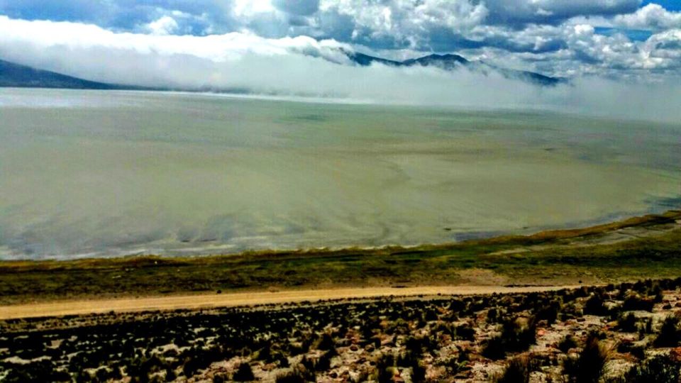 1 salinas salt lagoon private tour day trip from arequipa Salinas Salt Lagoon Private Tour: Day Trip From Arequipa