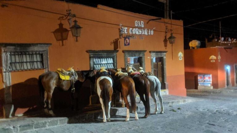 San Miguel De Allende: Horseback Riding Cantinas Tour