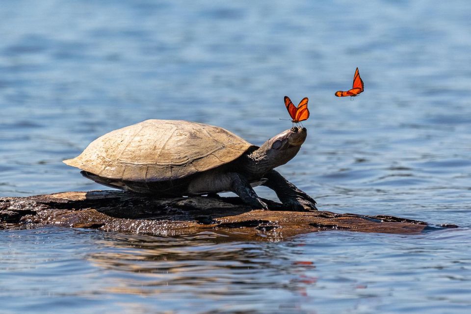 1 sandoval lake yacumama lake piranha fishing 5 days Sandoval Lake Yacumama Lake Piranha Fishing 5 Days