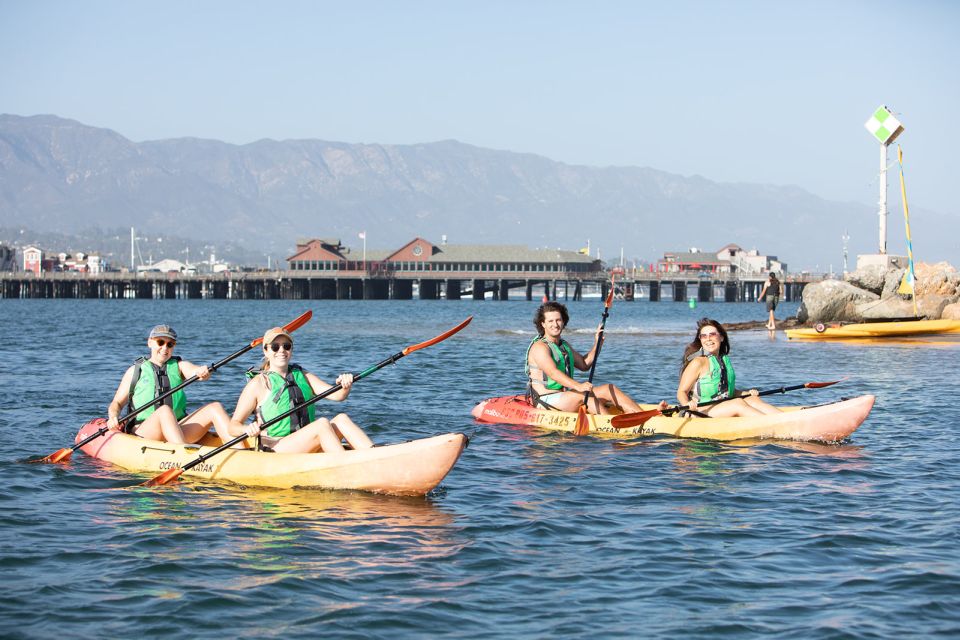 1 santa barbara guided sea lion kayaking tour Santa Barbara: Guided Sea Lion Kayaking Tour