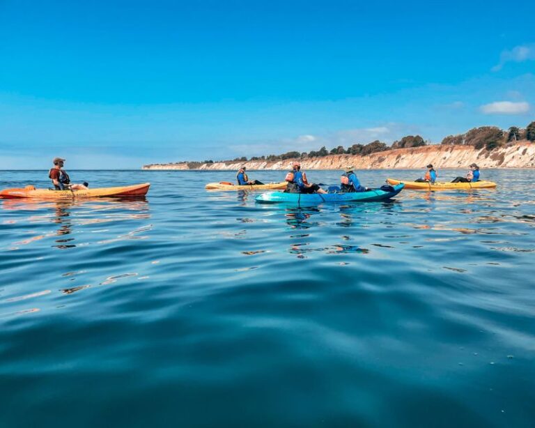 Santa Barbara: Haskell’s Beach Kayaking Tour