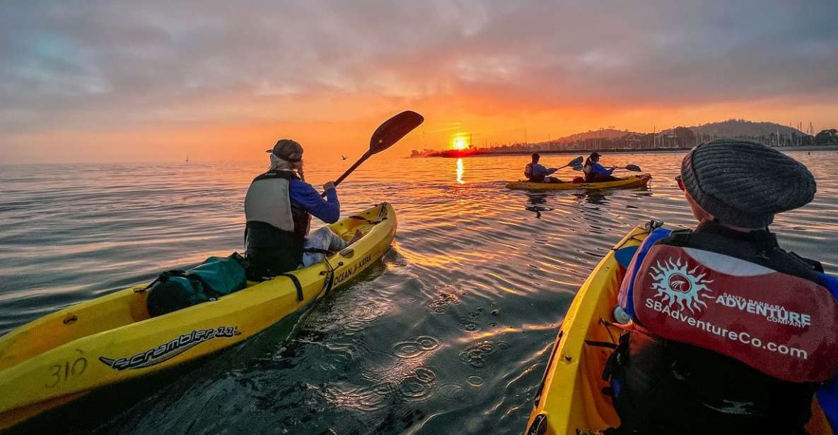 1 santa barbara sunset kayak tour Santa Barbara: Sunset Kayak Tour
