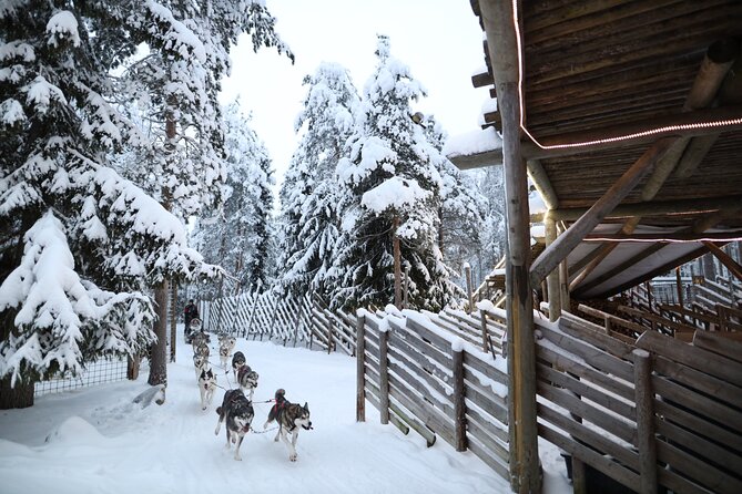 1 santa claus village husky and reindeers combo safari Santa Claus Village, Husky and Reindeers Combo Safari