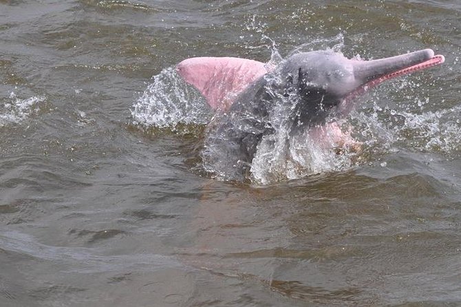 Santarém Water Encounters Tour