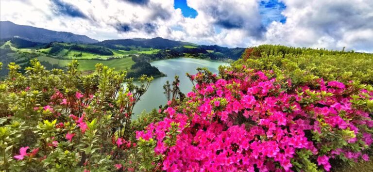 São Miguel: Furnas and Nordeste Full-Day Tour With Lunch