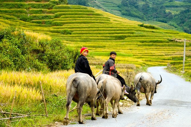 Sapa Villages Trekking and Homestay 2 Days/ 1 Night Package Tour: Best Selling