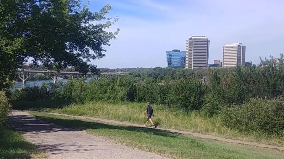 1 saskatoon riverbank bird walk Saskatoon Riverbank Bird Walk