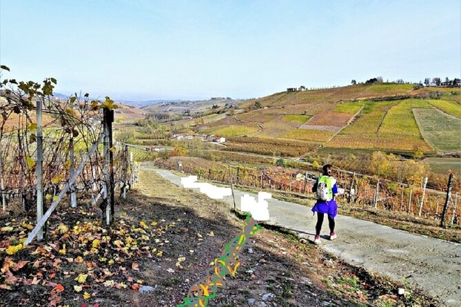 Scenic Langhe Hike and Wine Tasting From Alba  – Langhe-Roero and Monferrato