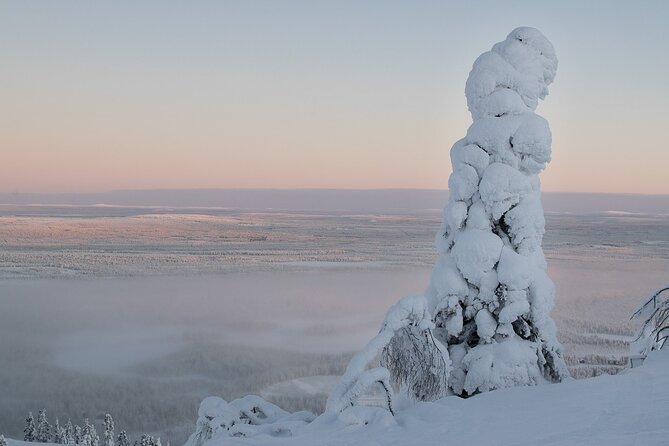 Scenic Snowshoeing on the Top of Pyhä Fell