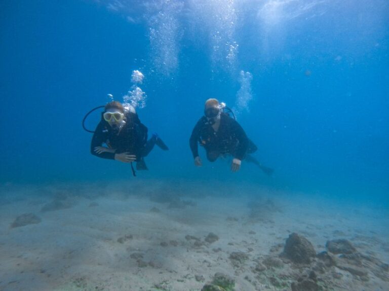 Scuba Diving for Beginners With Certified Diving Centre