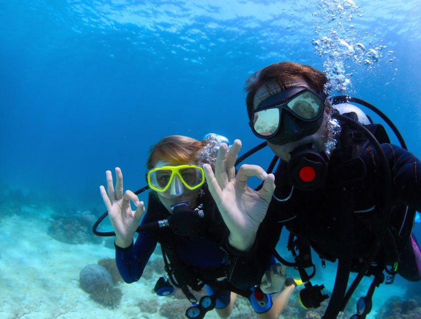 1 scuba diving from kusadasi Scuba Diving From Kusadasi