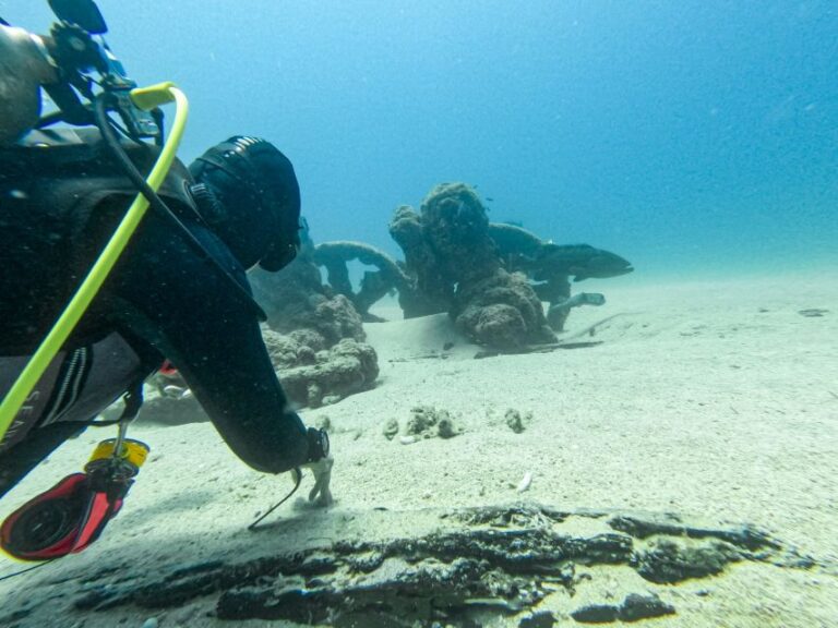 Scuba Diving in a National Marine Park of Cabo Pulmo