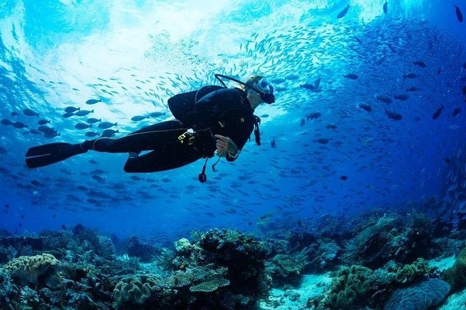 Scuba Diving in Boracay