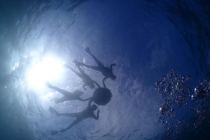 1 scuba diving snorkeling Scuba Diving & Snorkeling