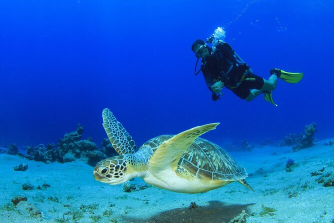 Scuba Diving Tour