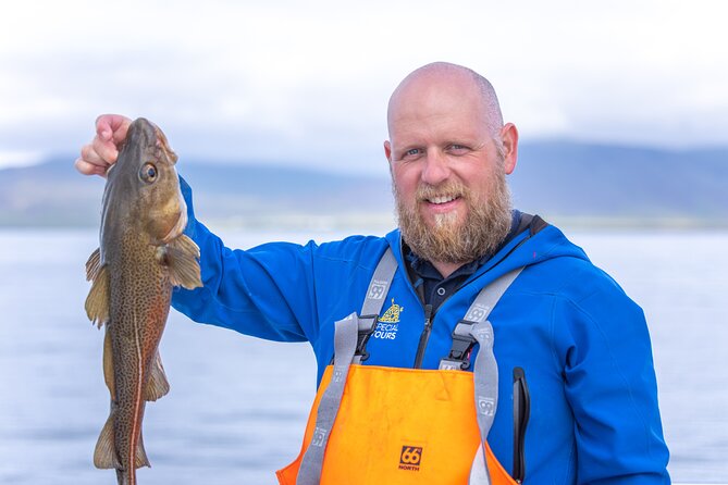 Sea Fishing Experience From Reykjavik