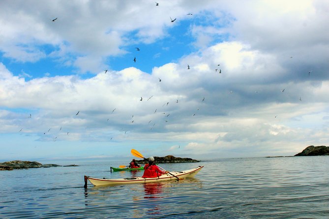 Sea Kayak Tour With Lunch In Stockholm Archipelago