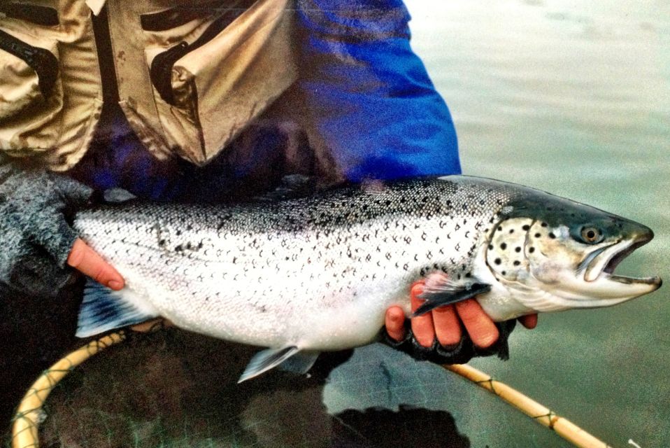 1 sea trout fishing in the stockholm archipelago Sea Trout Fishing in the Stockholm Archipelago