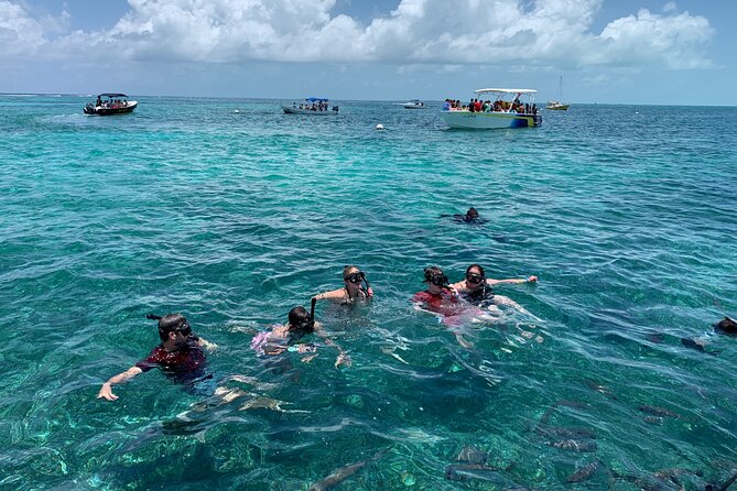 Second Largest Barrier Reef Adventure Snorkeling