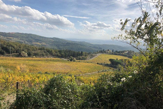 Semiprivate Tour: Siena, Wine Tour, San Gimignano