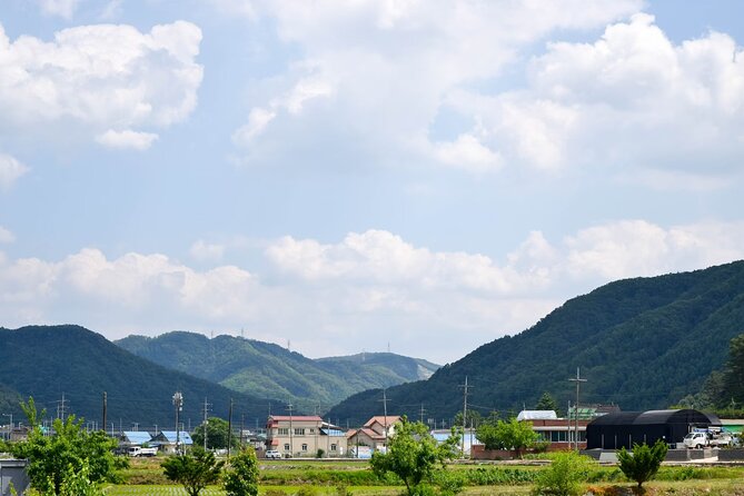 Seoul Outskirts: 10-hour Customize and Private Tour From Seoul